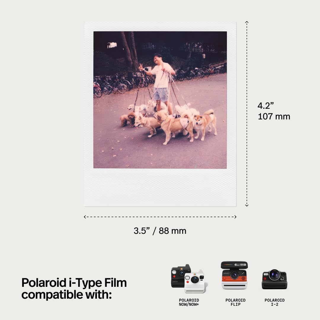 Polaroid - Image 5